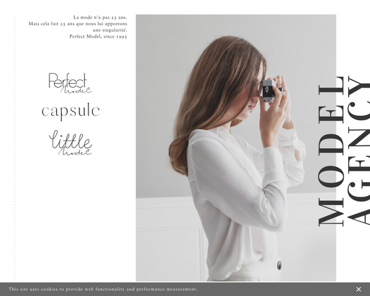 Perfect Model Management Logo